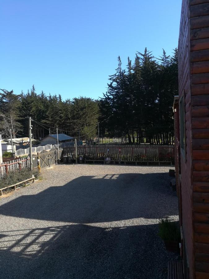 Tu Bosque