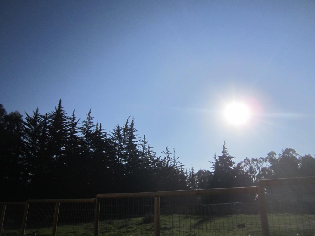 Lodge Tu Bosque Isla Negra